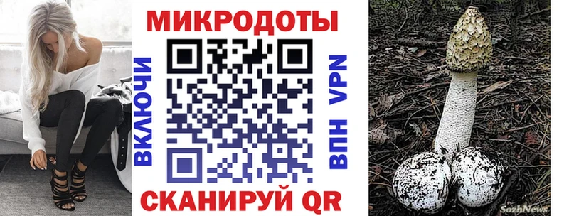 Псилоцибиновые грибы Psilocybe Берёзовка